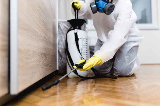Best Local Pest Control Services  in Apple Valley, OH