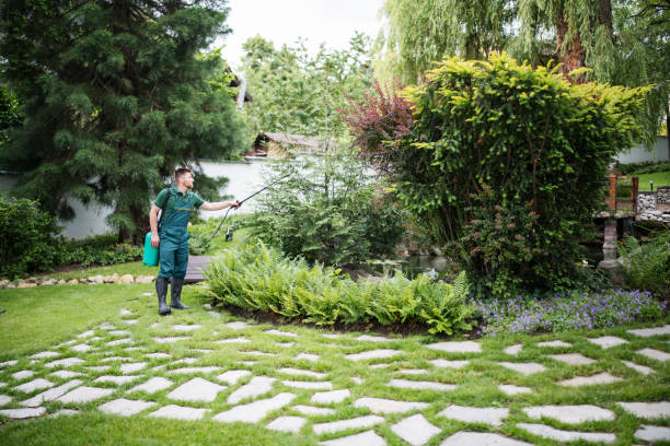 Best Pest Prevention Services  in Apple Valley, OH