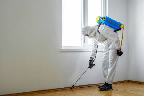 Best Best Pest Control Companies  in Apple Valley, OH