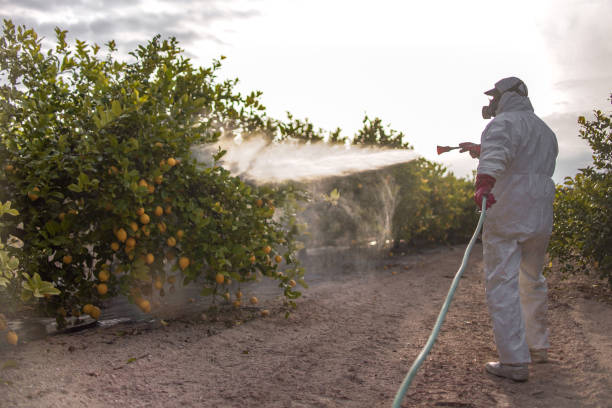 Best Exterminator Services  in Apple Valley, OH