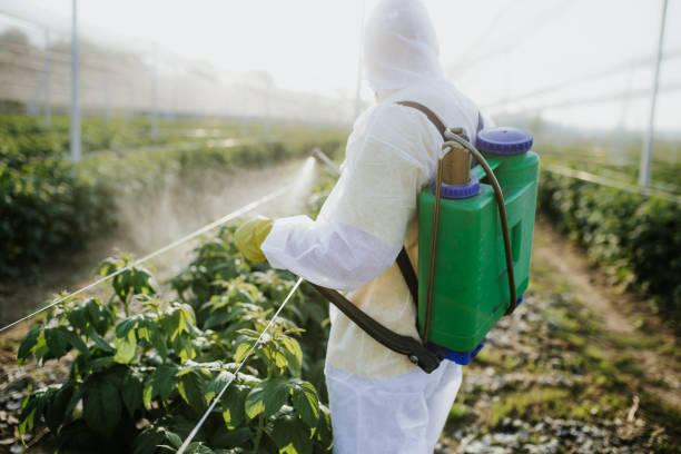 Best Cockroach Control Services  in Apple Valley, OH